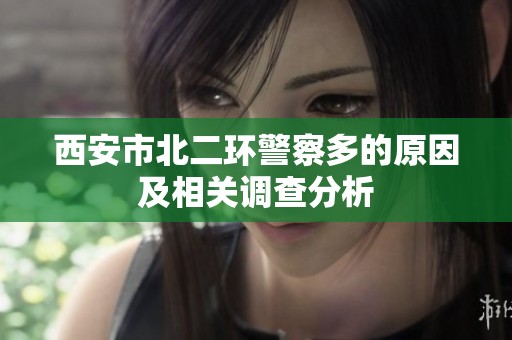 西安市北二环警察多的原因及相关调查分析