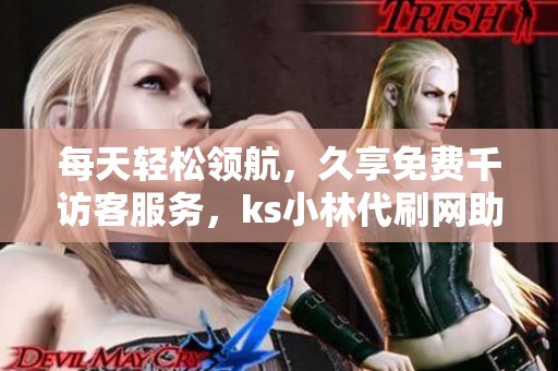 每天轻松领航，久享免费千访客服务，ks小林代刷网助力提升曝光率
