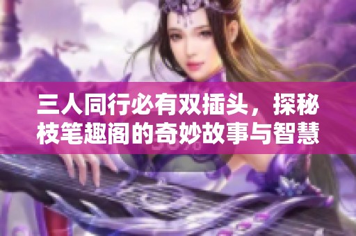 三人同行必有双插头，探秘枝笔趣阁的奇妙故事与智慧