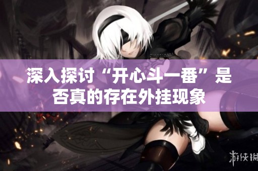 深入探讨“开心斗一番”是否真的存在外挂现象