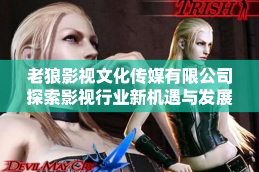 老狼影视文化传媒有限公司探索影视行业新机遇与发展前景