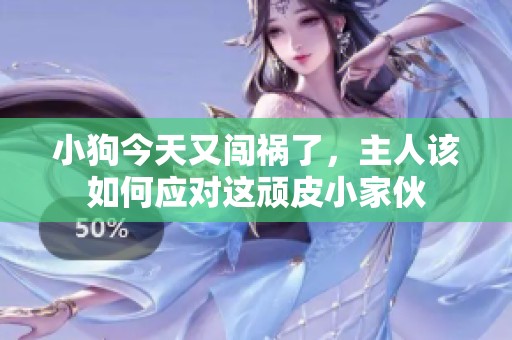 小狗今天又闯祸了，主人该如何应对这顽皮小家伙