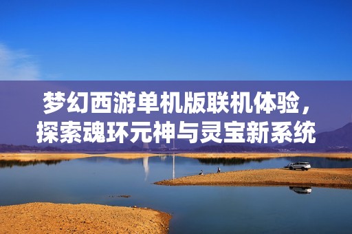 梦幻西游单机版联机体验，探索魂环元神与灵宝新系统