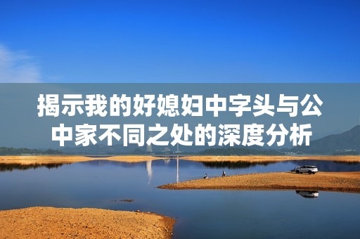 揭示我的好媳妇中字头与公中家不同之处的深度分析