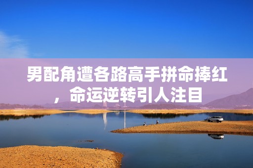 男配角遭各路高手拼命捧红，命运逆转引人注目