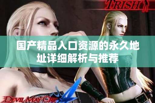 国产精品入口资源的永久地址详细解析与推荐