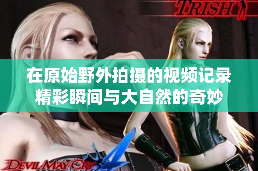 在原始野外拍摄的视频记录精彩瞬间与大自然的奇妙