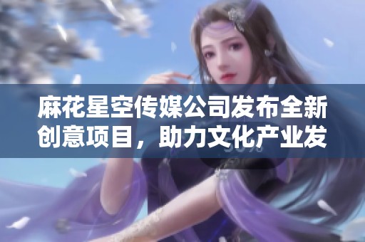 麻花星空传媒公司发布全新创意项目，助力文化产业发展