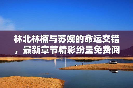 林北林楠与苏婉的命运交错，最新章节精彩纷呈免费阅读！