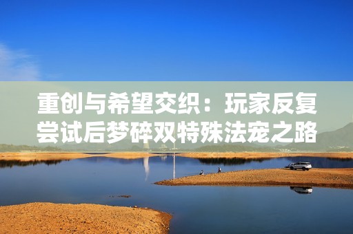 重创与希望交织：玩家反复尝试后梦碎双特殊法宠之路