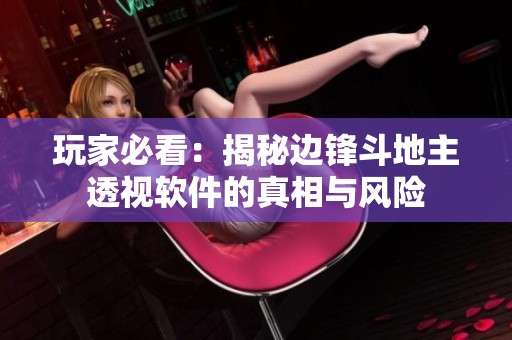 玩家必看：揭秘边锋斗地主透视软件的真相与风险